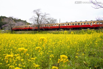 日本旅游度假区