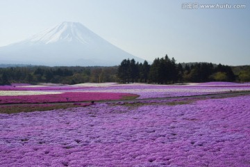 日本旅游度假区