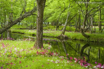 日本旅游度假区