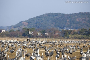 日本旅游度假区