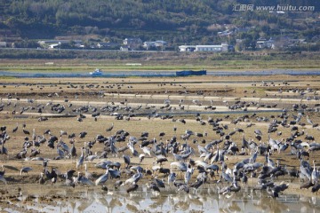 日本旅游度假区