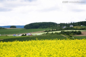 日本旅游度假区