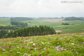 日本旅游度假区