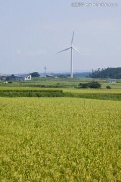 乡村景观和风力涡轮机