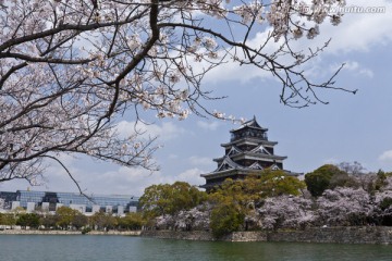 广岛城堡和樱花