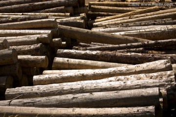 木材堆