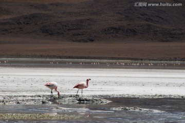 美国旅游度假区