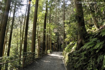 日本旅游度假区