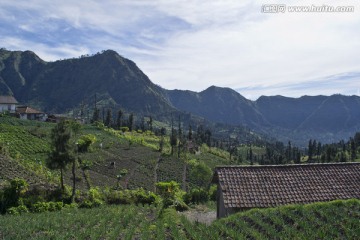 婆罗摩火山