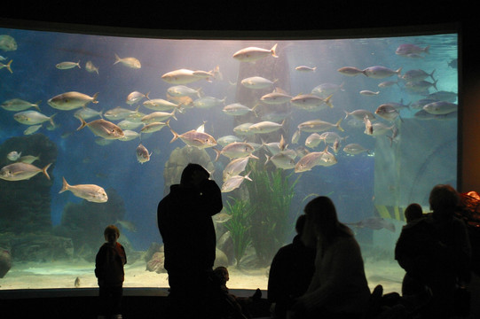 水族馆