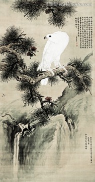白鶻圖