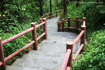 山路弯弯 公园景区