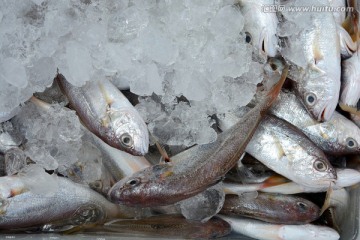 海鲜食材