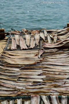 海鲜食材