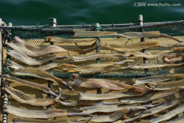 海鲜食材