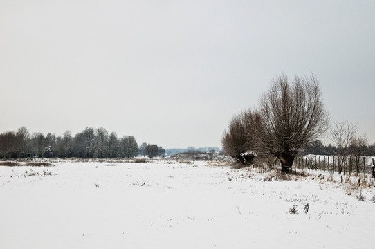 波拉德 圣休伯特雪景