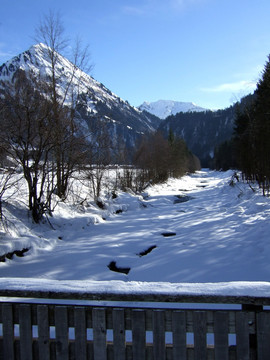 森林雪山