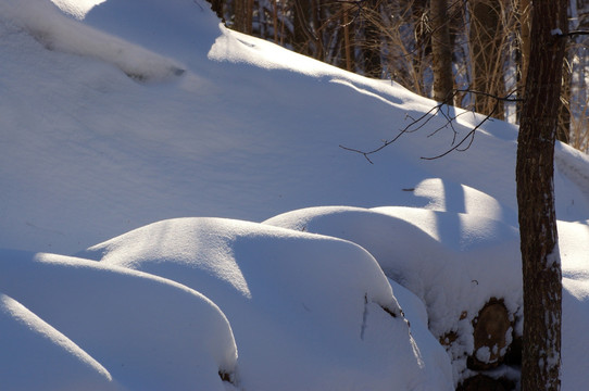  白雪 