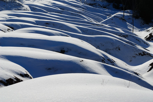 雪地