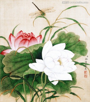 花鳥圖冊
