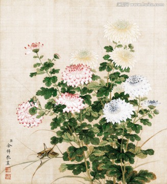 花鳥圖冊