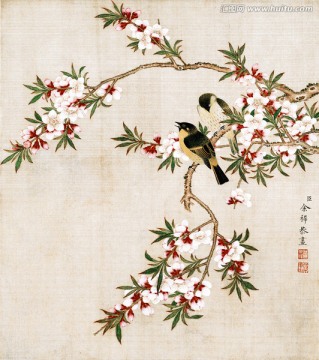 花鳥圖冊
