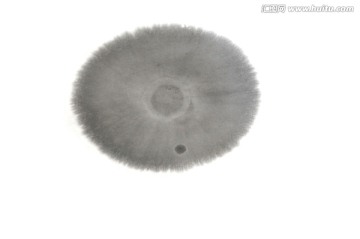 水墨畫蓮圖