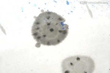 水墨畫蓮圖
