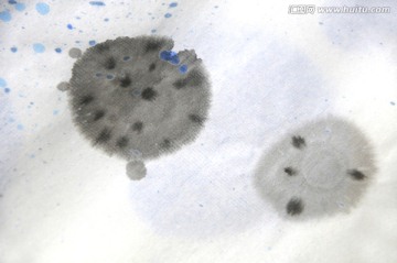 水墨畫蓮圖