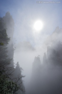 水墨黄山 竖片 云海苍茫