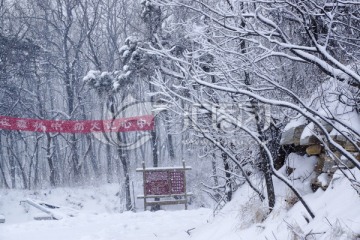 雪景