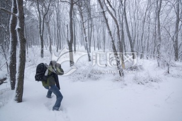 雪景 树林