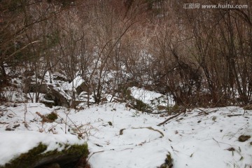 秦岭山间