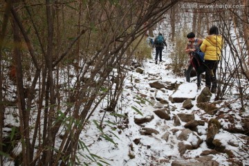 秦岭山间