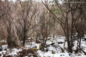 秦岭山间