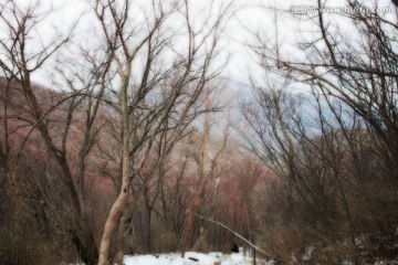 秦岭山间