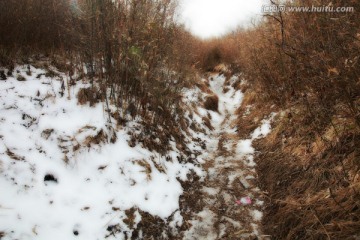 秦岭山间