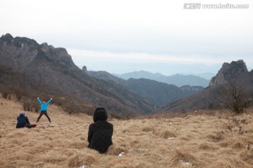 秦岭草甸