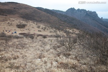 秦岭草甸