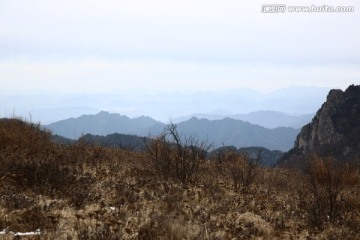 秦岭草甸