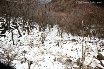 秦岭山间