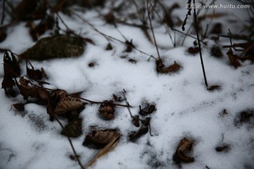 积雪