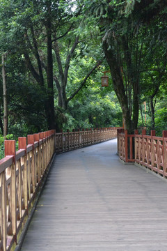 天马山栈道