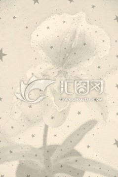 星斑花卉底纹纸