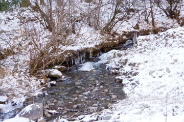 冰雪