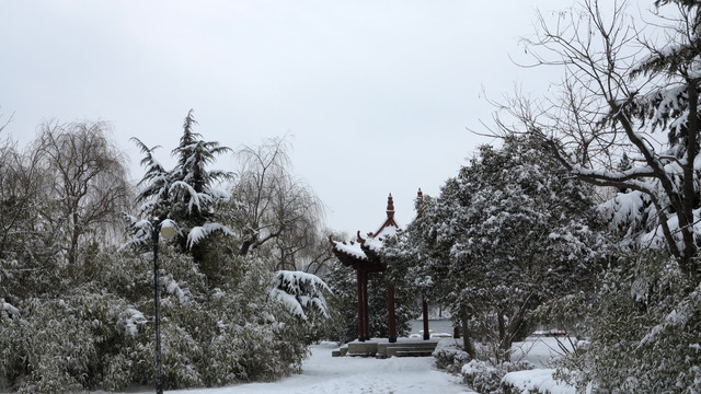 公园雪景