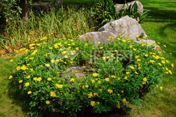 花园小景