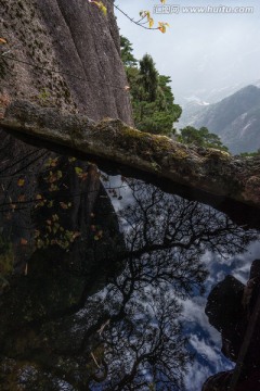 黄山山谷中的池塘 竖片