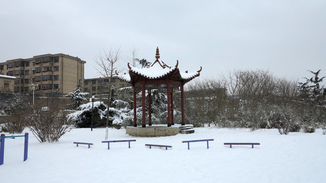 公园雪景 大雪