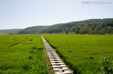 南泥湾 好风光